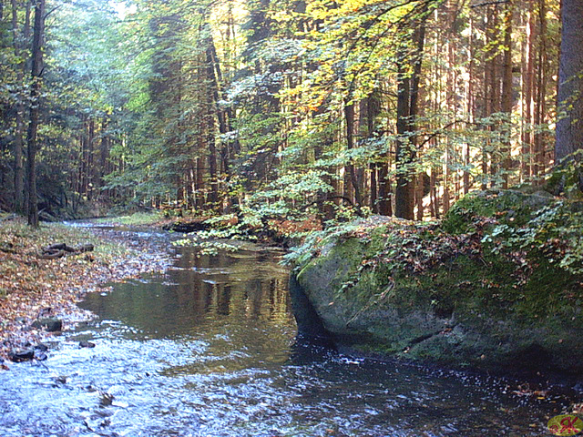 2001-10-11/14 029 Jetriĥovice