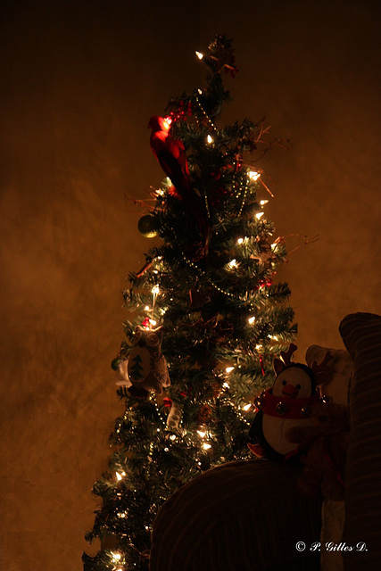 Deux copains qui surveillent le Père Noël