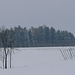 Hallertau im Winter