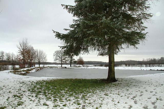 Etang d'Auneux - Bombon