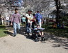 66.CherryBlossomFestival.TidalBasin.SW.WDC.1April2010