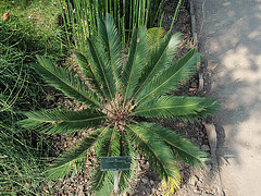 P8100105