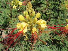 P8100111