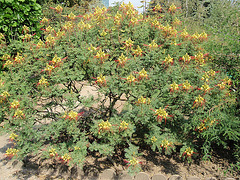 P8100112