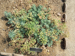 P8100115