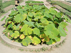 P8100126