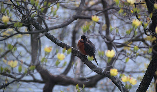 Signs of Spring