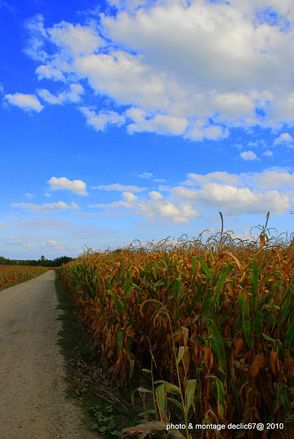 au bout du chemin .....!