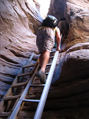Ladder Canyon (6263)