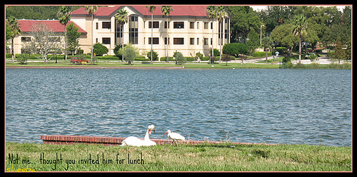 Lunch by the lake ..