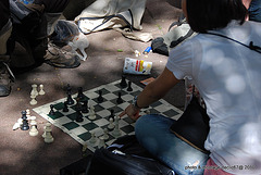 la joueuse d' échecs