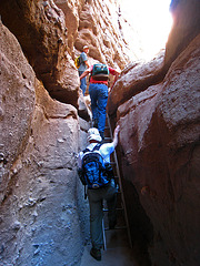 Ladder Canyon (6272)