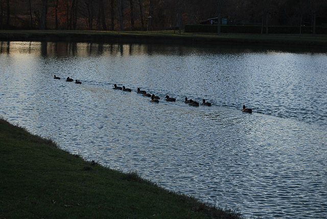 Sur le lac de Belveze