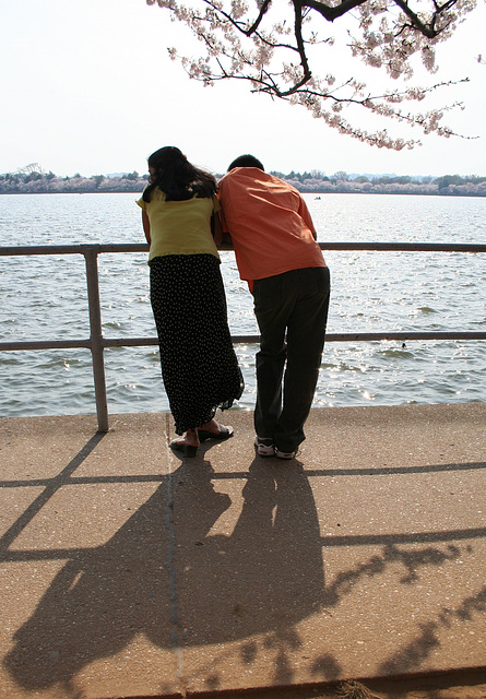 127.CherryBlossoms.TidalBasin.SW.WDC.31March2006