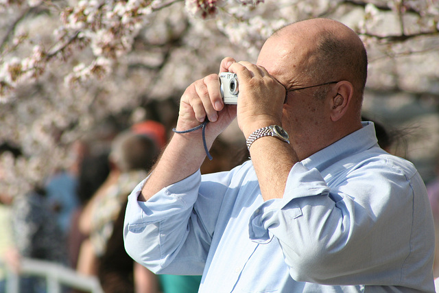 133.CherryBlossoms.TidalBasin.SW.WDC.31March2006