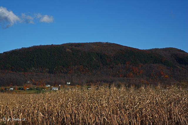 La Montérégie