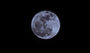 Full Moon