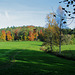 Herbstwald am stillen Bach