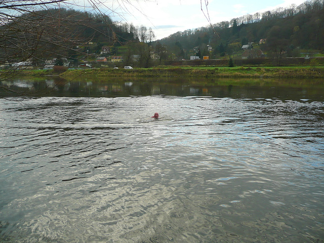 11.11.2010 - Bad in der Elbe 11.11.2010 - Bad in der Elbe