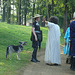 Pennsic 146