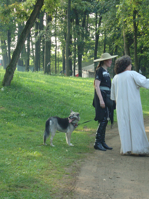 Pennsic 147