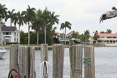 06.SandsHarborMarina.PompanoBeach.FL.12March2008