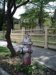 Edward Steves Homestad museum / San Antonio, Texas. USA - 29 juin 2010 - Bouche d'incendie / Hydrant.