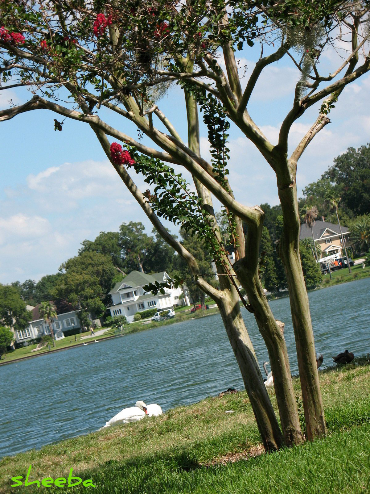 Across the lake ...