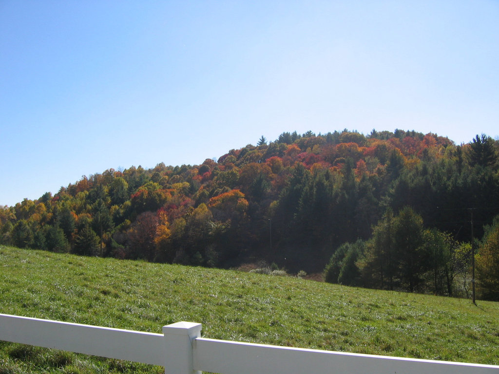 Fall in North Carolina ..