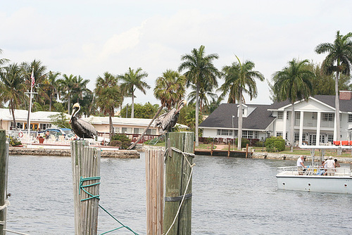 18.SandsHarborMarina.PompanoBeach.FL.12March2008