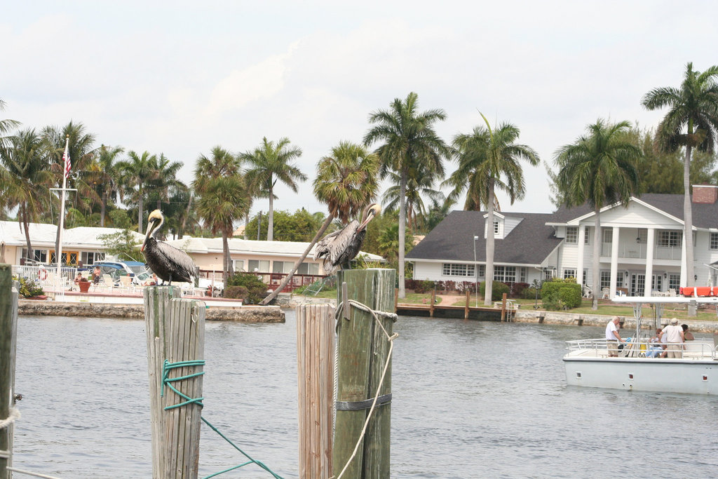 18.SandsHarborMarina.PompanoBeach.FL.12March2008