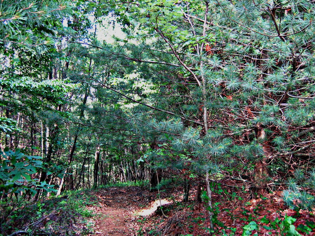 Path up Angel Mountain ..