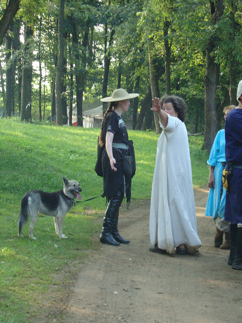 Pennsic 145