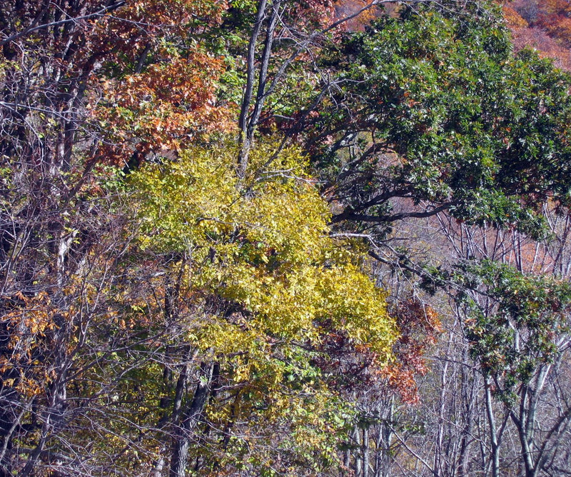 Mountain colors