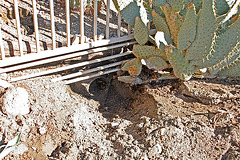 Cabot's Pueblo Museum - Post Flood December 2010 - Drain to Desert View (86