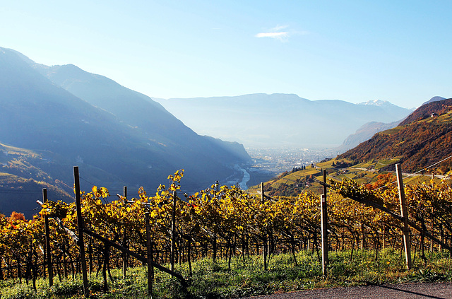 Auf dem Ritten mit Blick auf Bozen