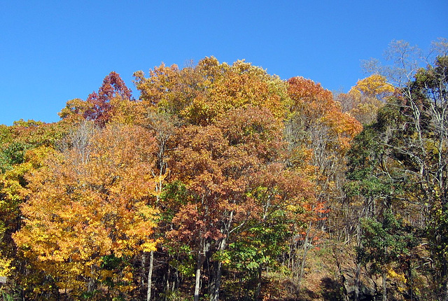 October in NC