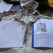 Pennsic 108