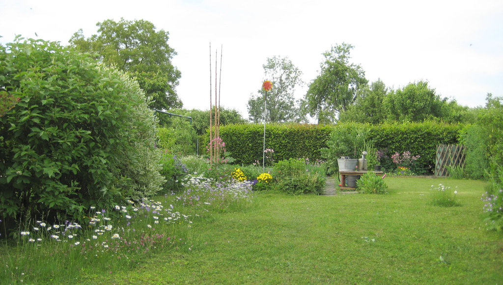 Blick nach Osten - nach dem Rasenmähen