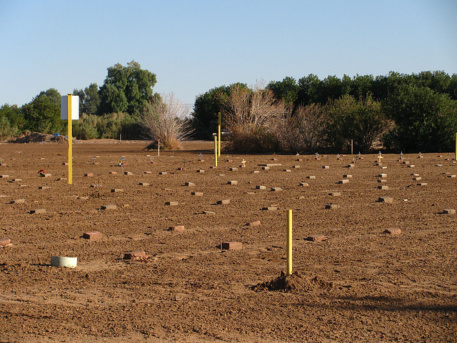 John Doe Graveyard (2168)