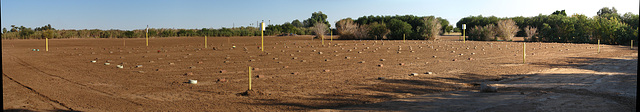 John Doe Graveyard Panorama