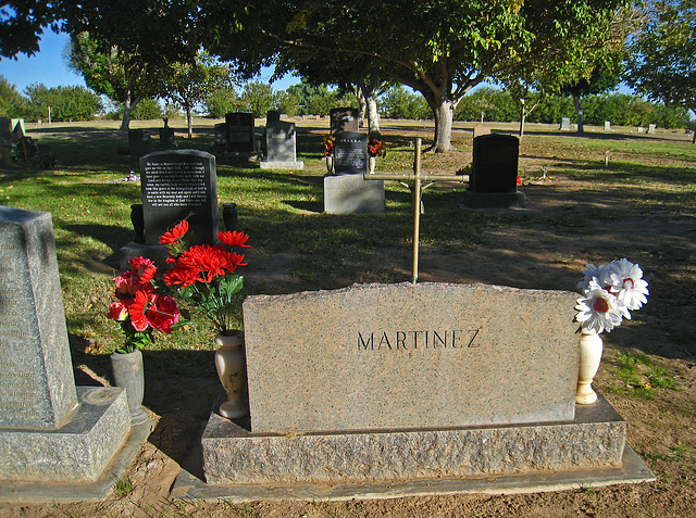 Terrace Park Cemetery (6141)