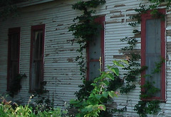 House 322's windows / Fenêtre du 322 - Jewett, Texas. USA - 6 juillet 2010.