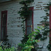 House 322's windows / Fenêtre du 322 - Jewett, Texas. USA - 6 juillet 2010.