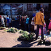 the yellow jacket veggie seller