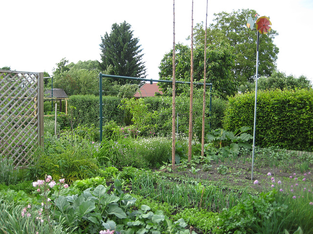 Gemüsegarten