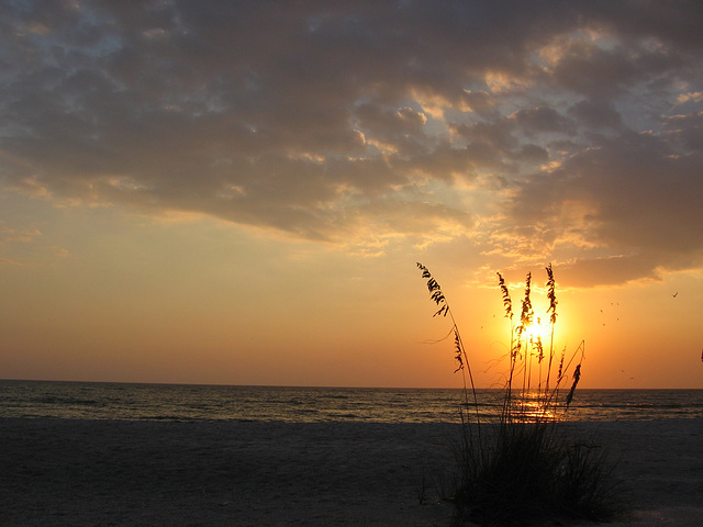 Anna Maria Island