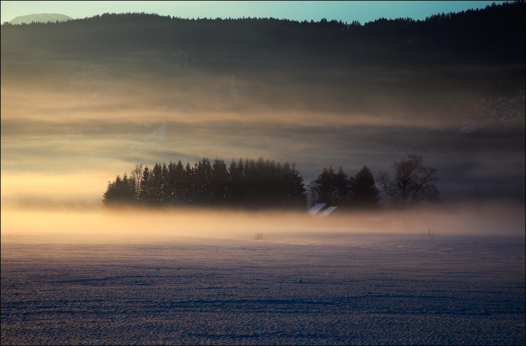 soft_morning_fog