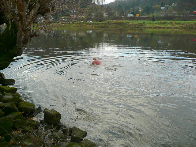 11.11.2010 - Bad in der Elbe