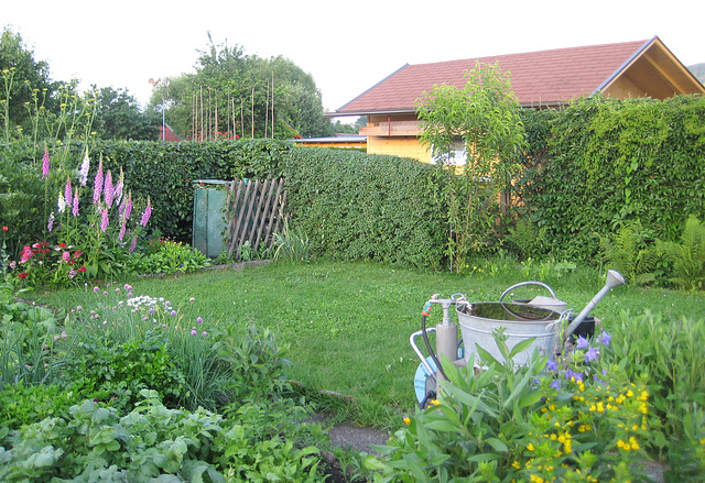 Blick über den Garten